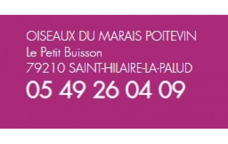 LES OISEAUX DU MARAIS POITEVIN